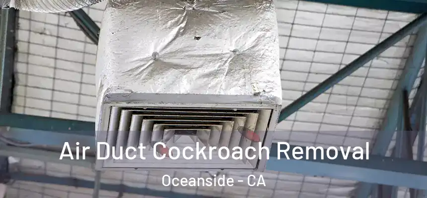  Air Duct Cockroach Removal Oceanside - CA