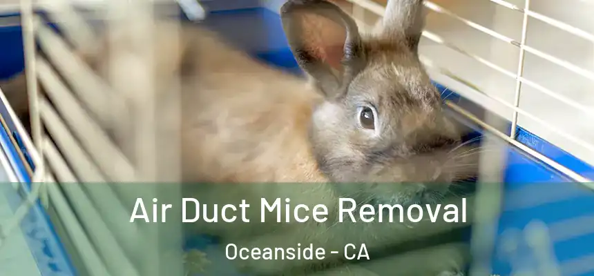 Air Duct Mice Removal Oceanside - CA