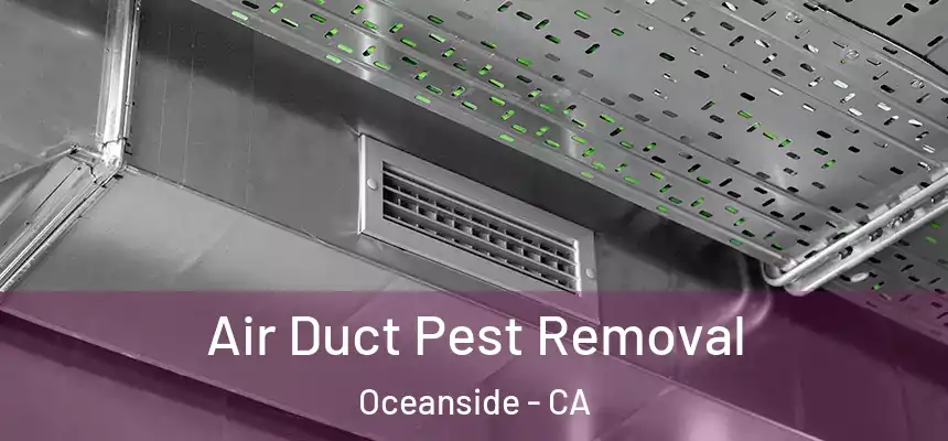  Air Duct Pest Removal Oceanside - CA