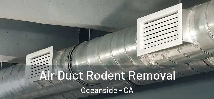  Air Duct Rodent Removal Oceanside - CA