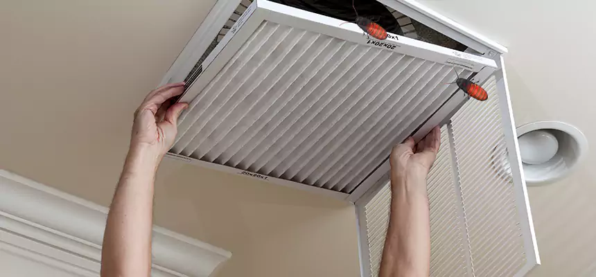 Our Insect Removal from Air Ducts Services in Oceanside, CA