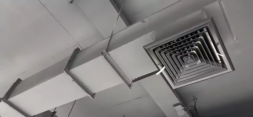 Our Rodent Droppings In Vents Services in Oceanside, CA