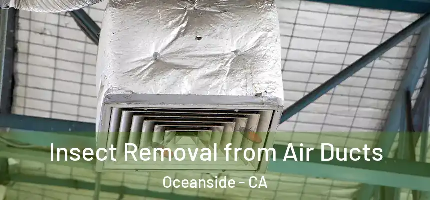Insect Removal from Air Ducts Oceanside - CA