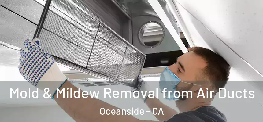  Mold & Mildew Removal from Air Ducts Oceanside - CA