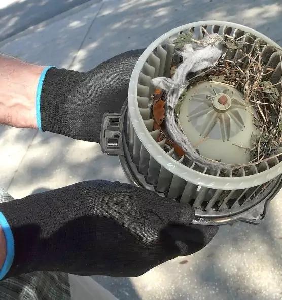 About Air Duct Mice Removal in Oceanside, CA