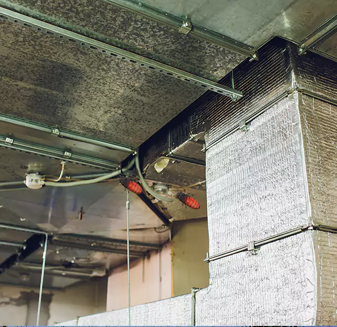 Why Homeowners & Businesses Trust Us in Oceanside, CA?