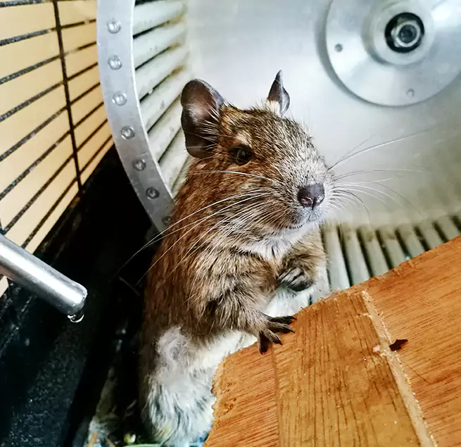 Why Homeowners & Businesses Trust Us Oceanside, CA