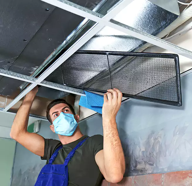 Why Homeowners Businesses Trust Us in Oceanside, CA