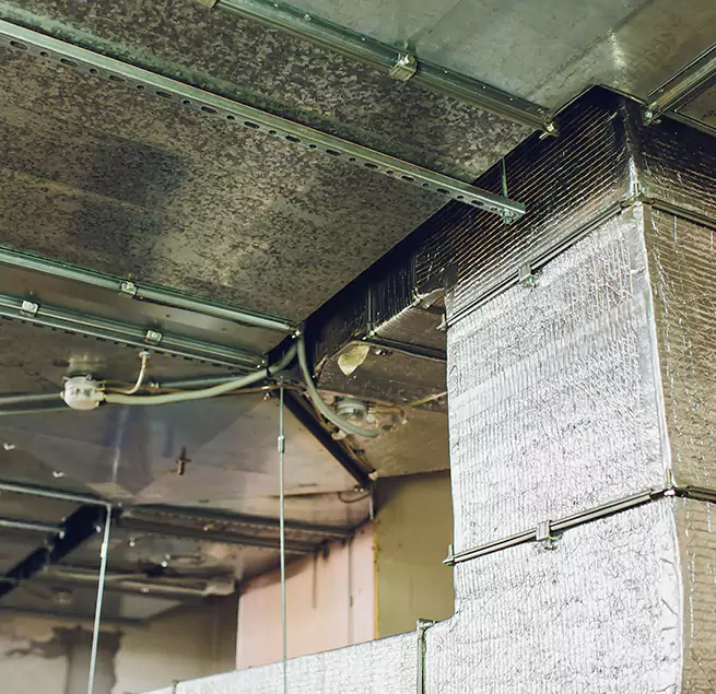 Why Homeowners & Businesses Trust Us in Oceanside, CA?